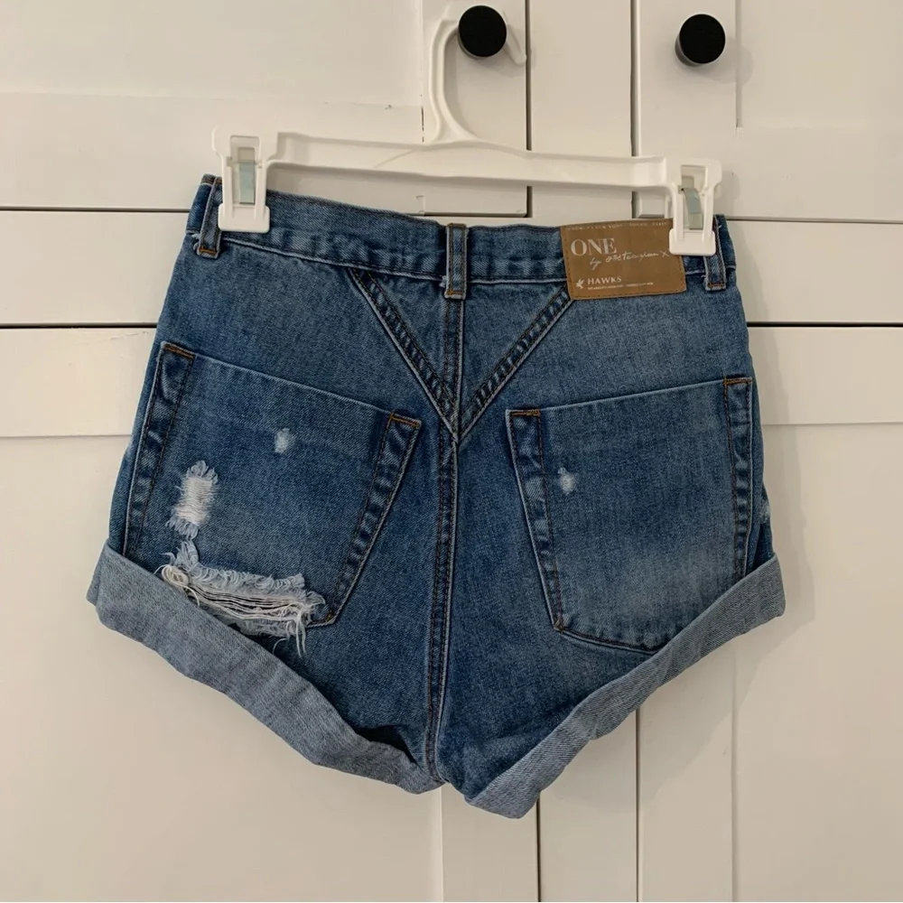 One X Oneteaspoon Button Fly Distressed Size 22 Shorts